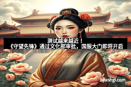 测试越来越近！《守望先锋》通过文化部审批，国服大门即将开启